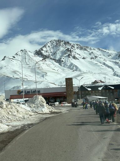 LAS LEÑAS